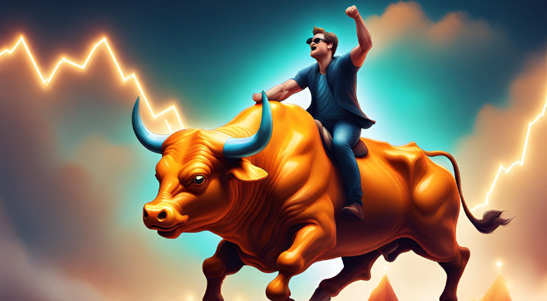 Bitcoin Bull Rally